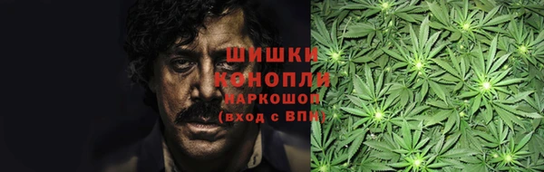 шишки Бронницы