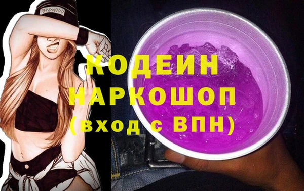 шишки Бородино