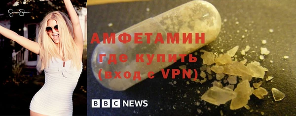шишки Бородино