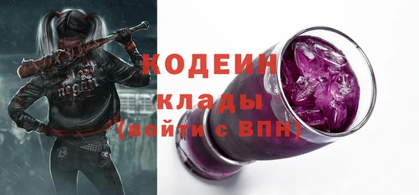 шишки Бородино