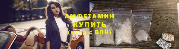 шишки Бородино