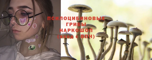 шишки Бородино