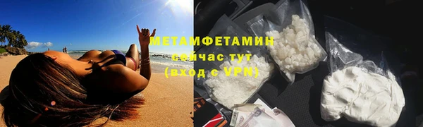 шишки Бородино