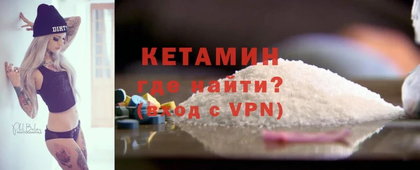 шишки Бородино