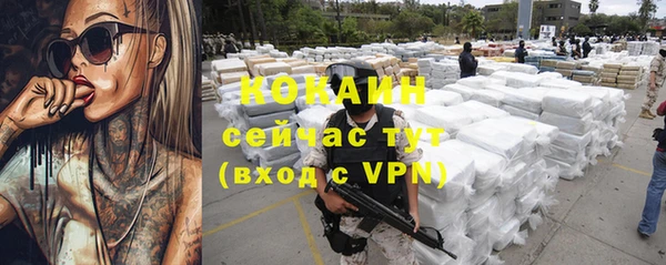 шишки Бородино