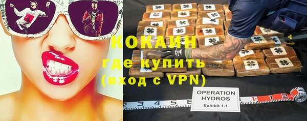 шишки Бронницы
