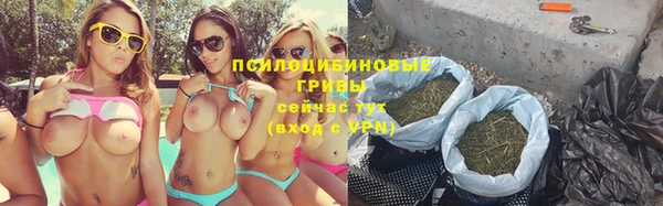шишки Бронницы