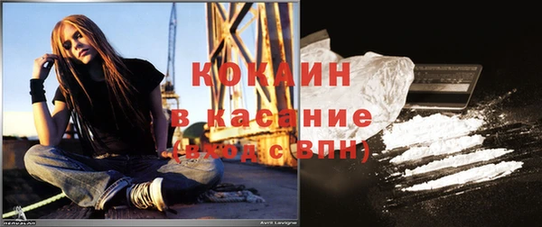 шишки Бородино