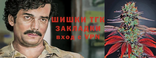шишки Бронницы