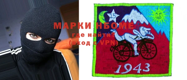 шишки Бородино