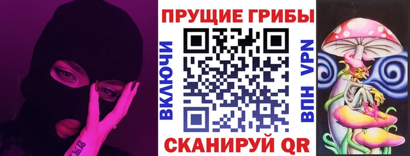 Галлюциногенные грибы Psilocybe  KRAKEN ссылки  Лысьва 